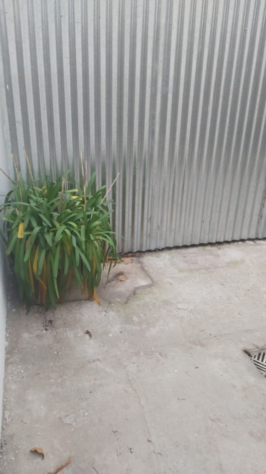 ALQUILER PH 1 AMB, PB, CON PATIO, ZONA ALBERTI Y JARA