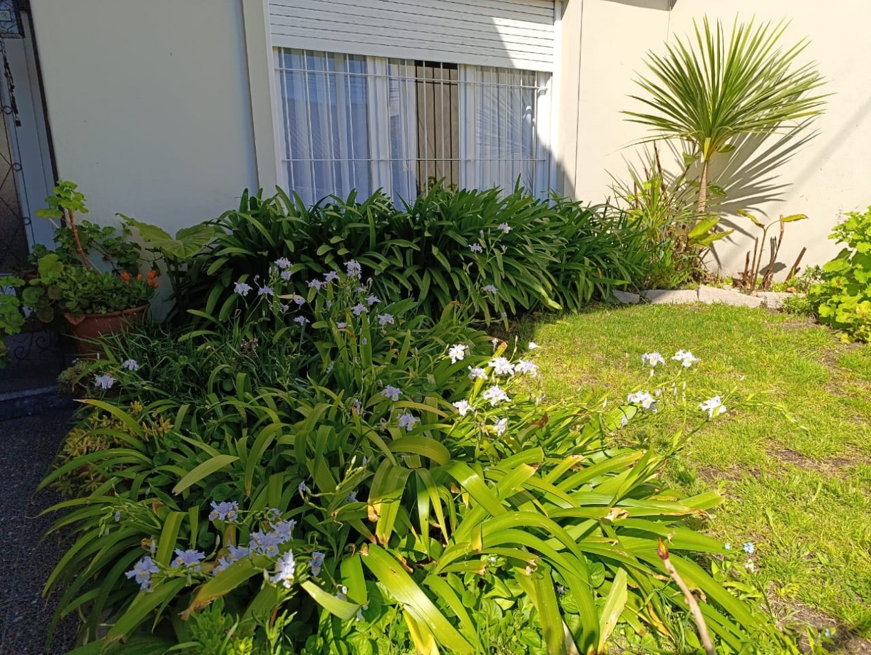 ALQUILER 24 MESES, ZONA SAN JOSE, CHALET DE 3 AMB. CON GARAJE Y PATIO.