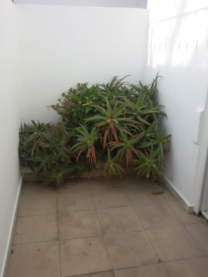 MAR DEL PLATA, ALQUILER 24 MESES, BARRIO SAN JOSE, PH DE 3 AMB. CON DOS PATIECITOS, 